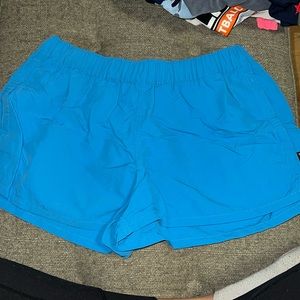 Patagonia Baggie Shorts